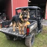 NorthWoodsRider