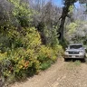 bigsur100