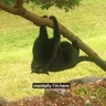 IdleTheory