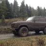 toyrex