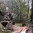 Buck Master