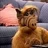 Alf Pacino