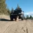 Dog cruiser
