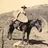 Surfbort Cowboy