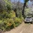 bigsur100