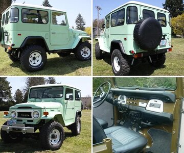 My FJ's