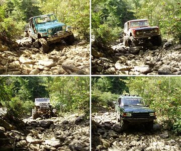 fall cove run 08