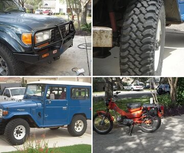 the rigs