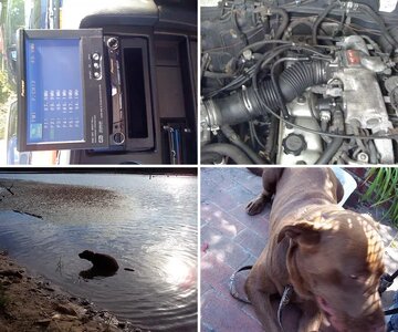 LAnd Cruiser Pics.