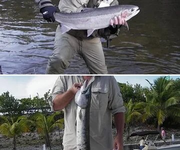 Fishing