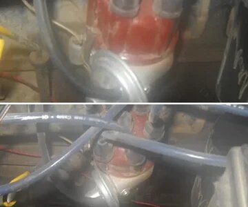 distributor