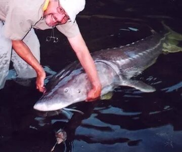 Fishy