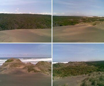 Woodhill Forest/Murawai