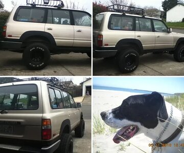 cruiser2