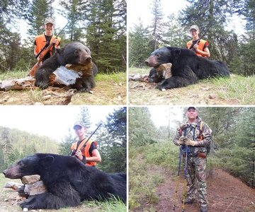 The Great Bear Hunt 2011