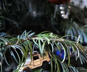 Holiday FJ Image