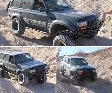 Nessie's first trip to Desert