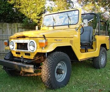 78mustard40