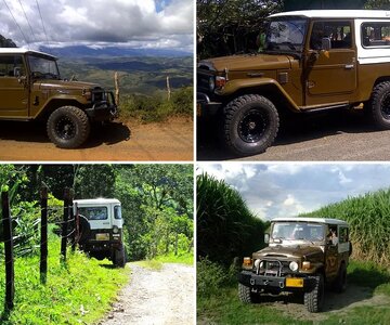 Fj43 1982 color 653