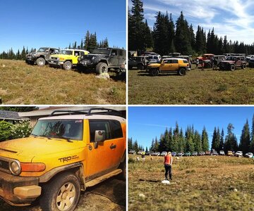 Whipsaw 2013