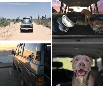 Knewjax's Fj62