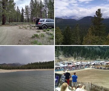 Mammoth