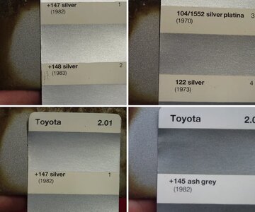 paint chips