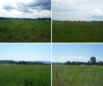 TRAIL TAILOR NEW HOMESITE