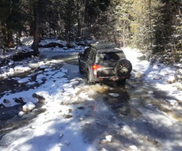 Halfmoon Gulch & Champion Mill