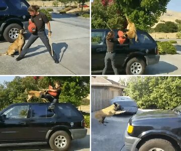 1st Car Adventures