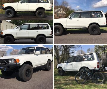 Great White Cruiser
