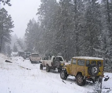 Tree Run from Hell 2007