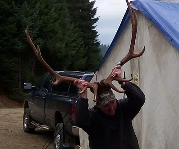 My 2007 elk in Idaho.