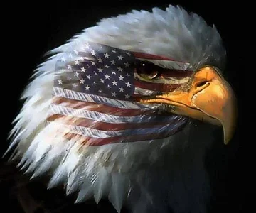 Love it or Leave it!