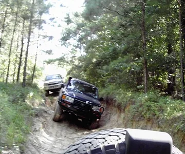 80 at home on the trail.