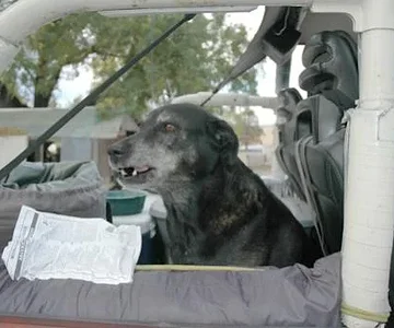 Back OFF!!  My Cruiser!