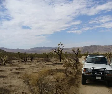 On Berdoo Canyon trail