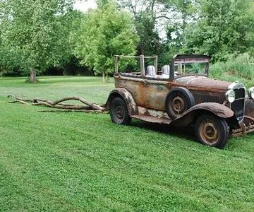 1931 Ford Model A skidding up trees