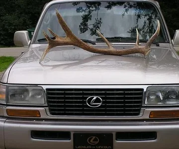 LX Stag Sound = attempt to fit 5.25 component system w/option to revert to OEM appearance.