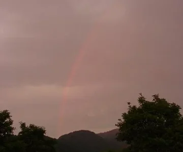 Lone Bald Rainbow[1]