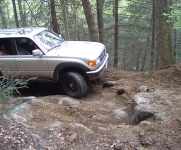 2008 0517Image0022[1]