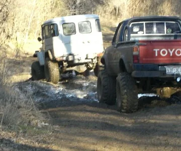 wheelin 1 1 08 mark 008