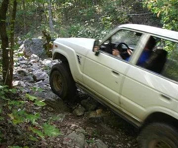 1507305612 bb584f1731 o