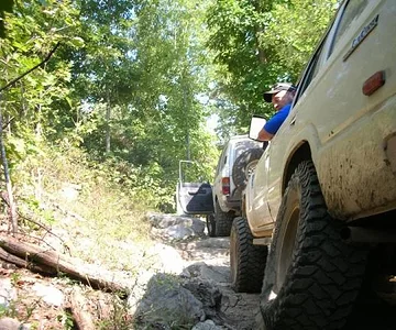 1507359982 402fd0cc91 o