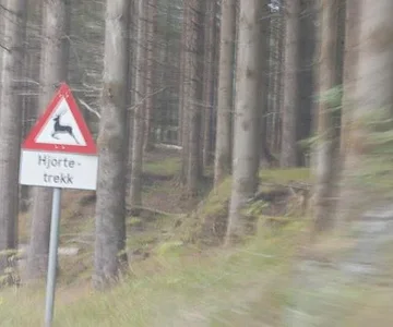 norgecruisers 1282 008