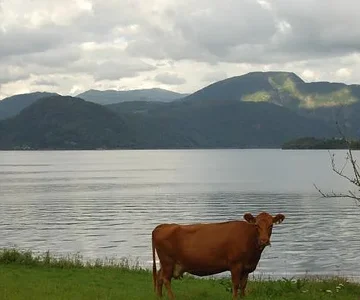 norgecruisers 1282 013