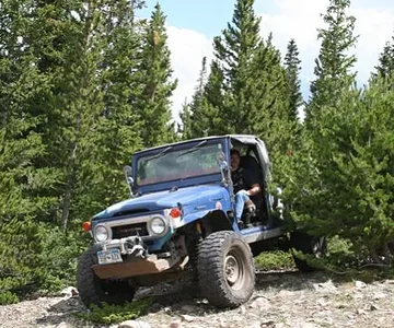 Frank, trying to hide behind a tree.