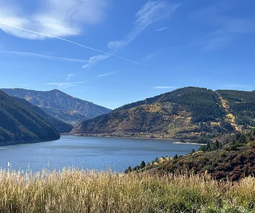 Chapman Res