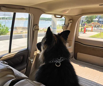 GSD in Cargo