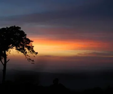 gatabsunset